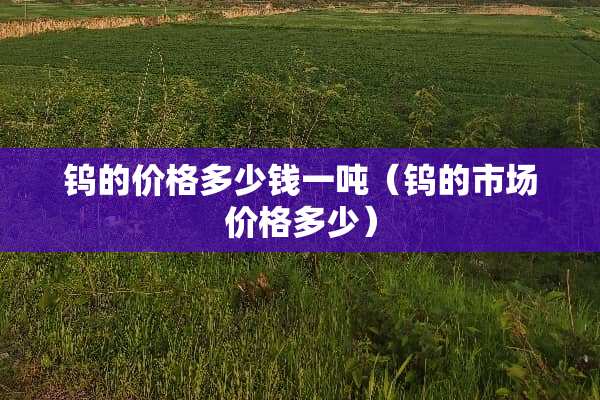 钨的价格多少钱一吨（钨的市场价格多少）