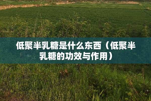 低聚半*糖是什么东西（低聚半*糖的功效与作用）