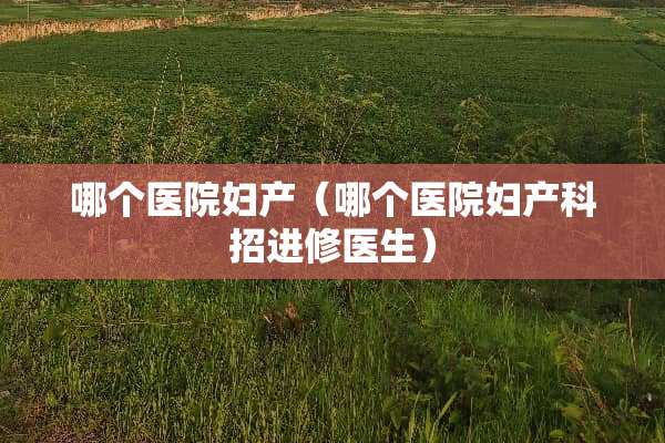 哪个医院妇产（哪个医院妇产科招进修医生）
