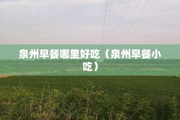 泉州早餐哪里好吃（泉州早餐小吃）