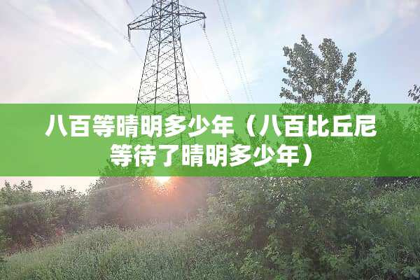 八百等晴明多少年（八百比丘尼等待了晴明多少年）