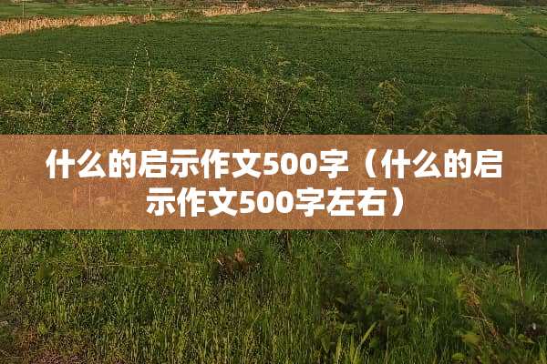 什么的启示作文500字（什么的启示作文500字左右）