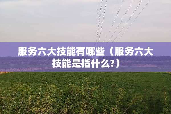 服务六大技能有哪些（服务六大技能是指什么?）