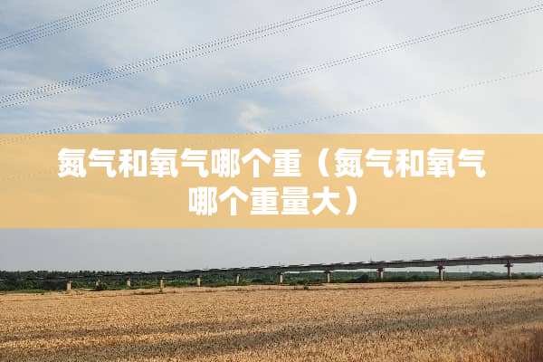 氮气和氧气哪个重（氮气和氧气哪个重量大）