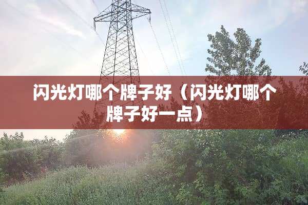 闪光灯哪个牌子好（闪光灯哪个牌子好一点）