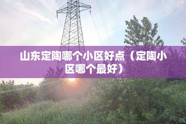 山东定陶哪个小区好点（定陶小区哪个最好）