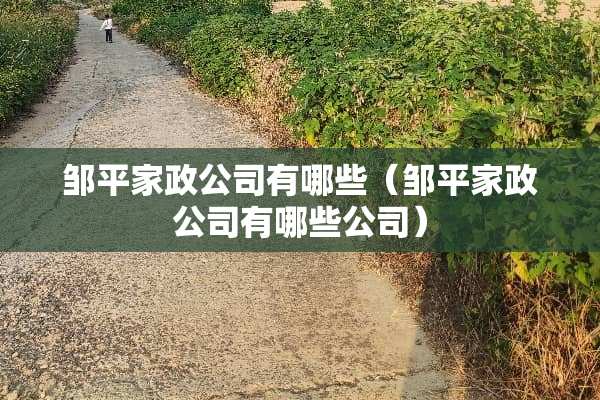 邹平家政公司有哪些（邹平家政公司有哪些公司）