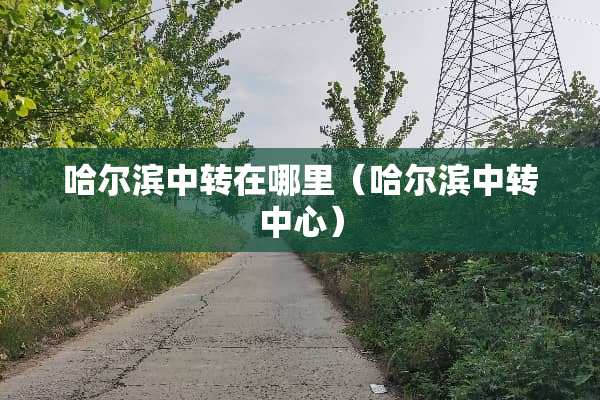 哈尔滨中转在哪里（哈尔滨中转中心）
