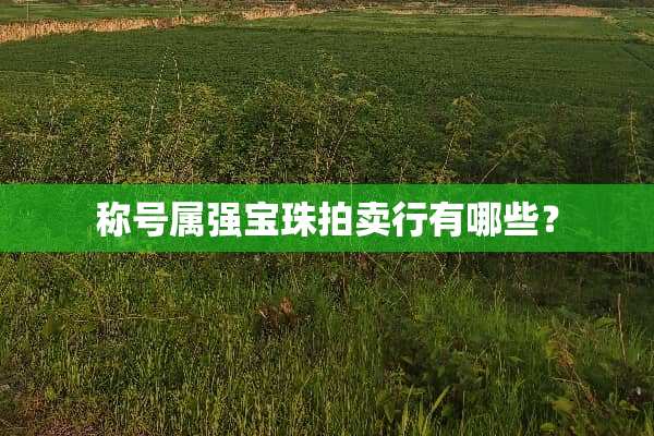 称号属强宝珠拍卖行有哪些？