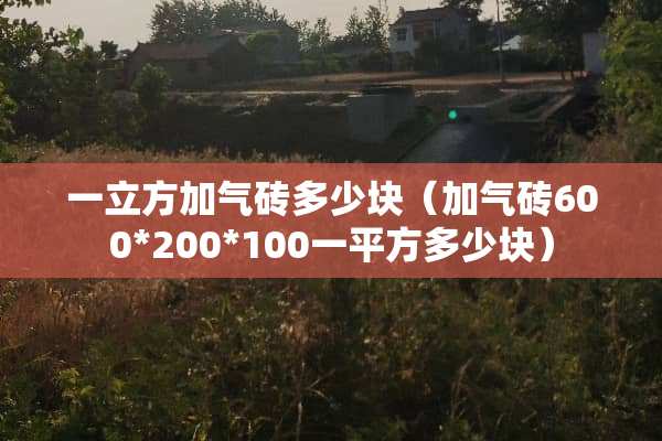 一立方加气砖多少块（加气砖600*200*100一平方多少块）