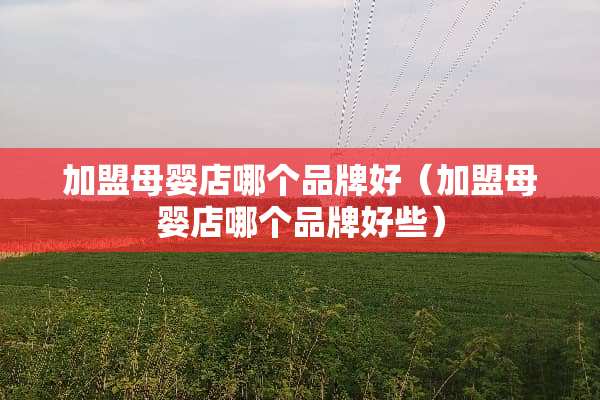 加盟母婴店哪个品牌好（加盟母婴店哪个品牌好些）