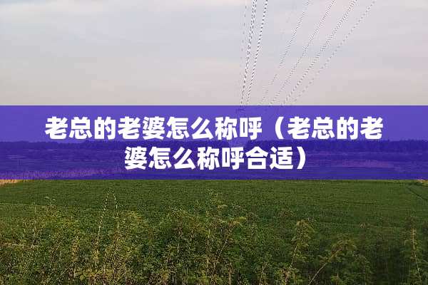 老总的老婆怎么称呼（老总的老婆怎么称呼合适）