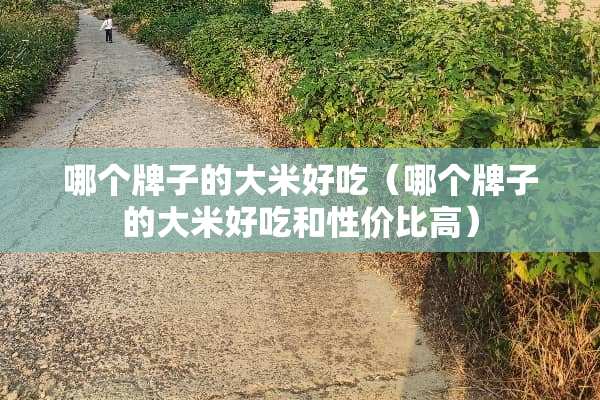 哪个牌子的大米好吃（哪个牌子的大米好吃和性价比高）