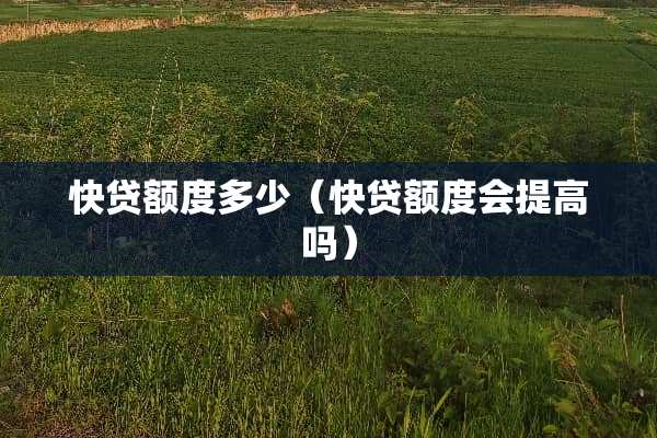 快贷额度多少（快贷额度会提高吗）