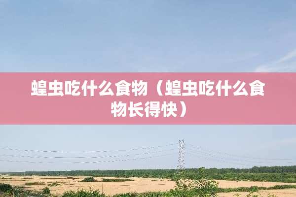 蝗虫吃什么食物（蝗虫吃什么食物长得快）