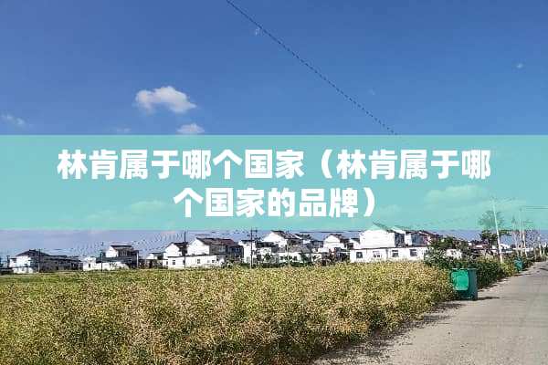 林肯属于哪个国家（林肯属于哪个国家的品牌）
