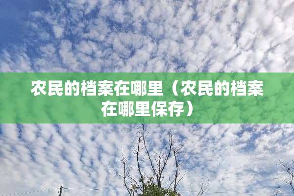 农民的档案在哪里（农民的档案在哪里保存）