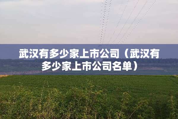 武汉有多少家上市公司（武汉有多少家上市公司名单）
