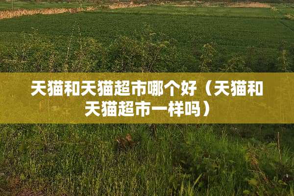 天猫和天猫超市哪个好（天猫和天猫超市一样吗）