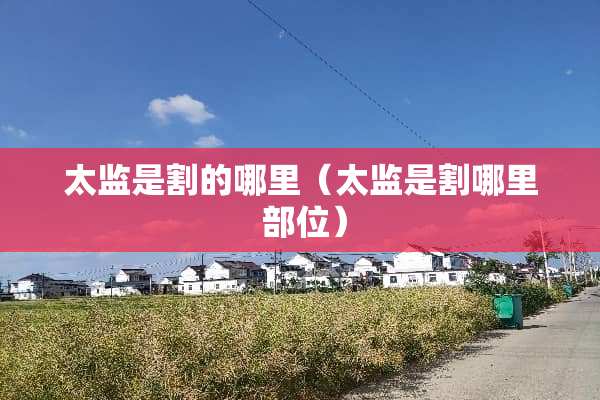 太监是割的哪里（太监是割哪里 部位）
