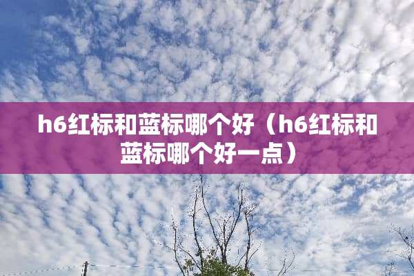 h6红标和蓝标哪个好（h6红标和蓝标哪个好一点）