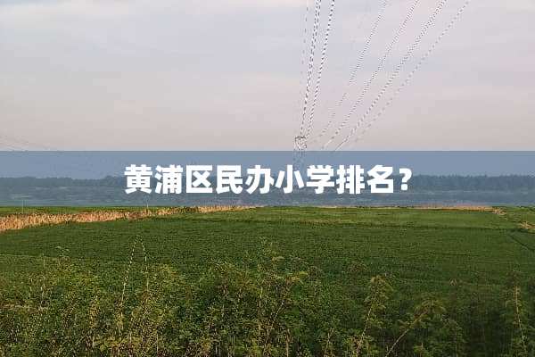 黄浦区民办小学排名？