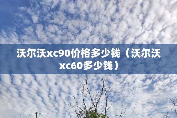 沃尔沃xc90价格多少钱（沃尔沃xc60多少钱）