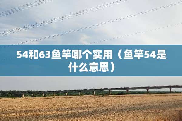 54和63鱼竿哪个实用（鱼竿54是什么意思）