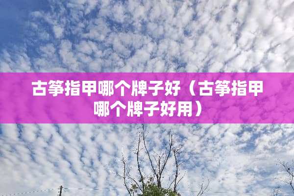 古筝指甲哪个牌子好（古筝指甲哪个牌子好用）
