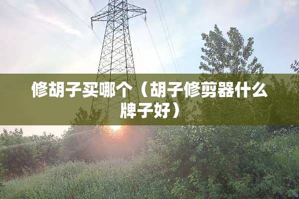修胡子买哪个（胡子修剪器什么牌子好）
