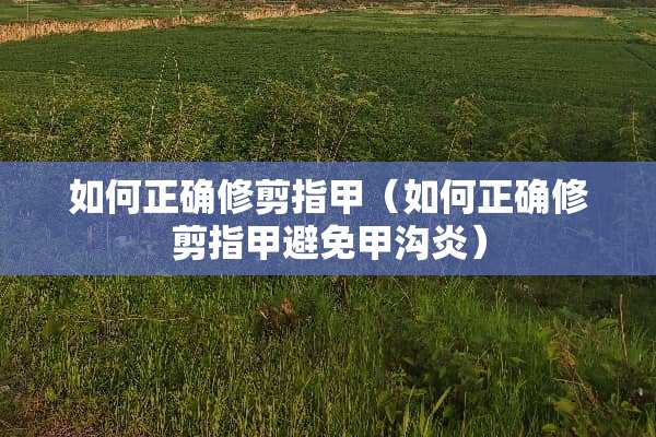 如何正确修剪指甲（如何正确修剪指甲避免甲沟炎）