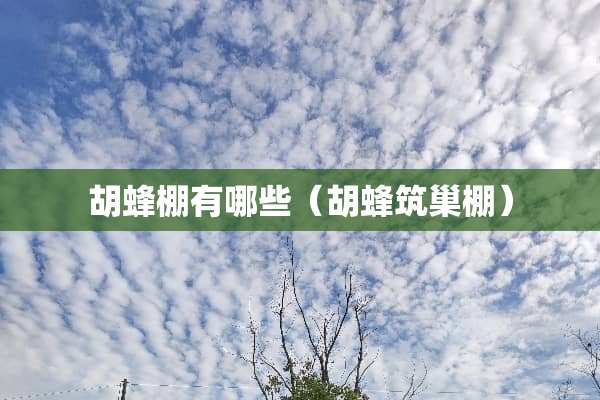 胡蜂棚有哪些（胡蜂筑巢棚）