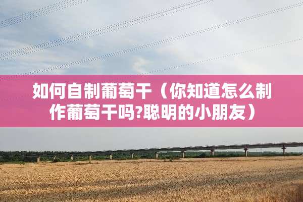 如何自制葡萄干（你知道怎么制作葡萄干吗?聪明的小朋友）