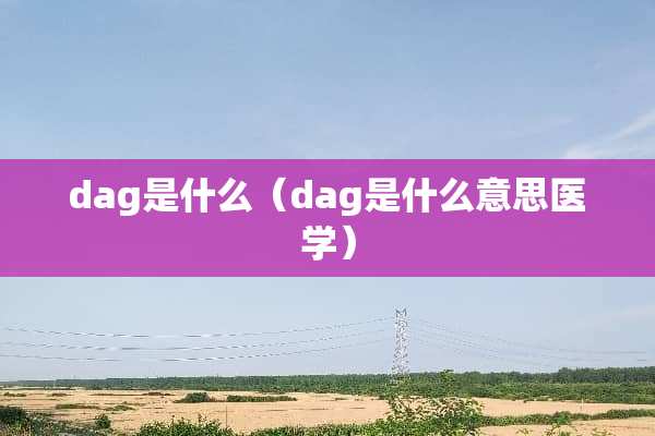 dag是什么（dag是什么意思医学）