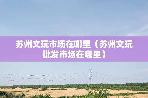 苏州文玩市场在哪里（苏州文玩批发市场在哪里）
