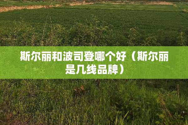 斯尔丽和波司登哪个好（斯尔丽是几线品牌）