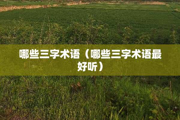 哪些三字术语（哪些三字术语最好听）