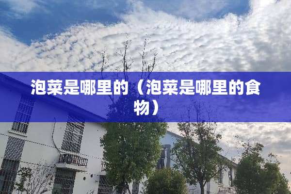 泡菜是哪里的（泡菜是哪里的食物）