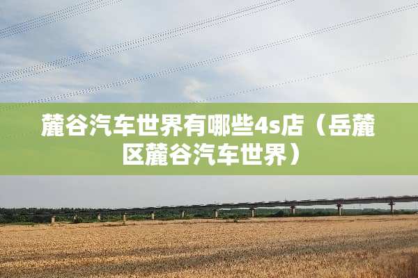 麓谷汽车世界有哪些4s店（岳麓区麓谷汽车世界）