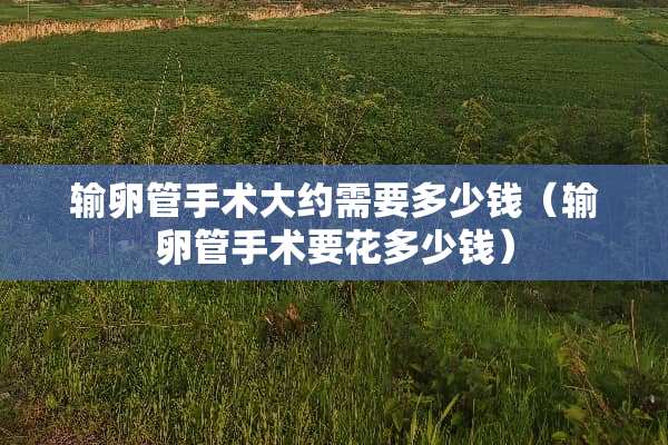 输卵管手术大约需要多少钱（输卵管手术要花多少钱）