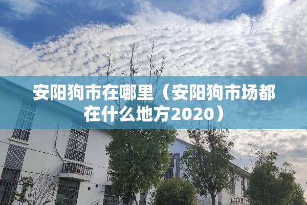 安阳狗市在哪里（安阳狗市场都在什么地方2020）
