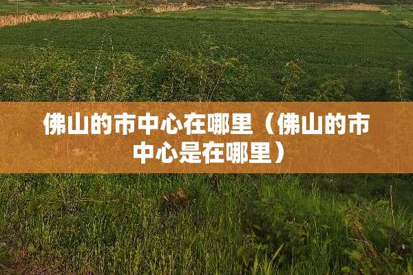 佛山的市中心在哪里（佛山的市中心是在哪里）