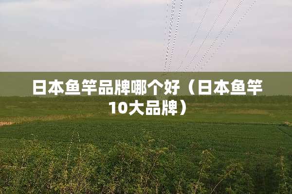日本鱼竿品牌哪个好（日本鱼竿10大品牌）