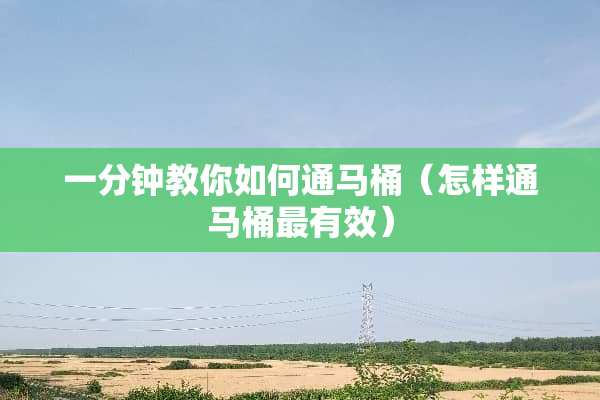 一分钟教你如何通马桶（怎样通马桶最有效）