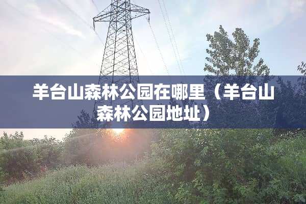 羊台山森林公园在哪里（羊台山森林公园地址）
