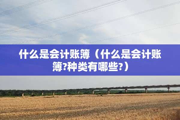 什么是会计账簿（什么是会计账簿?种类有哪些?）