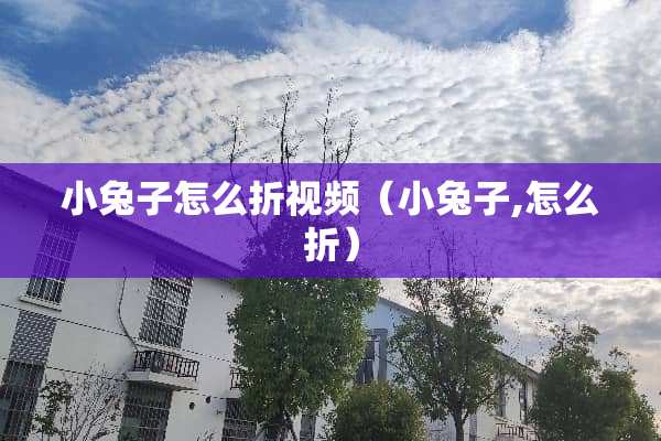 小兔子怎么折视频（小兔子,怎么折）