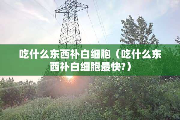 吃什么东西补白细胞（吃什么东西补白细胞最快?）