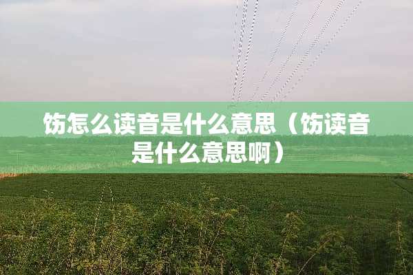 饬怎么读音是什么意思（饬读音是什么意思啊）