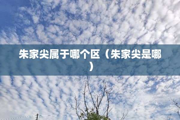 朱家尖属于哪个区（朱家尖是哪）